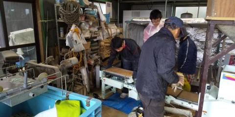 苗箱に種まきをしています。