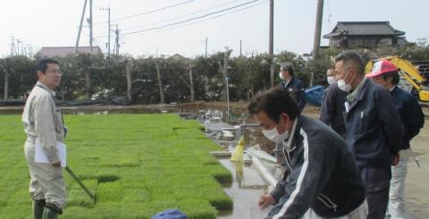 県の指導のもと、苗の生育状況を確認しております！